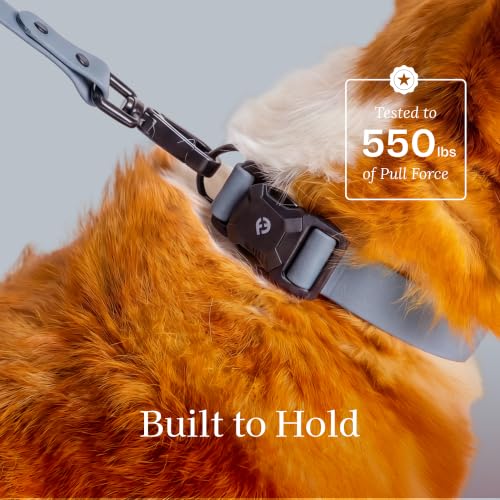 Fei & Eve VERO Dog Collar, Dusk Blue, Small | MagEase Magnetic Buckle, Waterproof PVC, Odor Resistant, Easy Clean, Heavy Duty - color: Dusk Blue, size: S