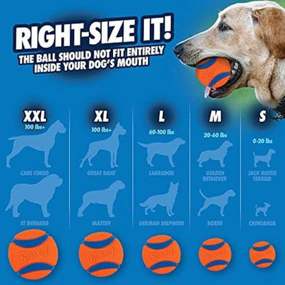 Chuckit! Ultra Ball Dog Toy with Chuckit! Cleaning Bucket, Bouncy Fetch Pet Toys For Dogs 20-60 lbs, Interactive Dog Toys, Durable Rubber, Size Medium, 2.5-inch Diameter, 8-Pack of Balls - size: Medium, style: Medium (8 Pack Bucket)