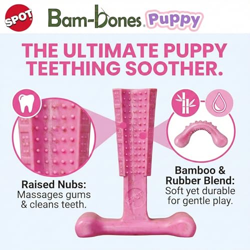SPOT Bam-Bones Puppy T-Bone Dog Chew Toys, Chicken Flavor, 4 Inch, 2 Pack, Bamboo Fiber & Flexible Rubber, Easy Grip Design for Gentle Chewers, Puppies & Small Dogs Up to 15 lbs