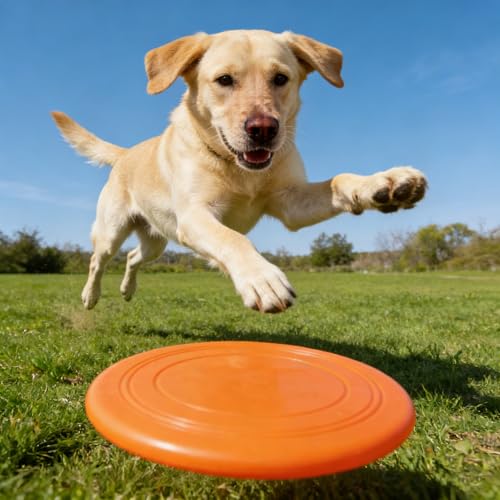 7 Inch Soft Flying Disc for Pets - TPR Non-Slip Floating, Ideal for Beach Games & Interactive Play.
