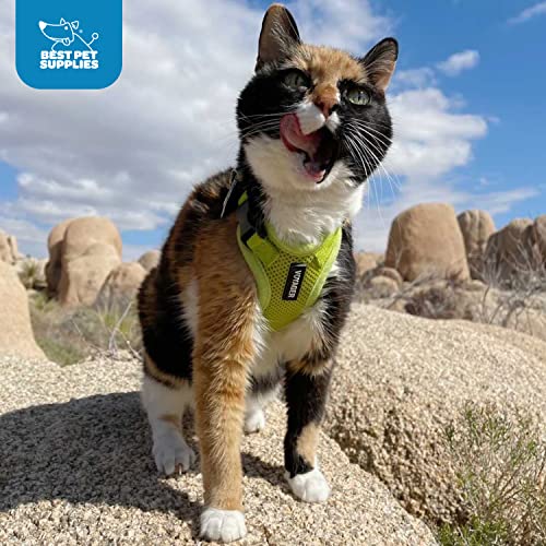 Best Pet Supplies Voyager Step-in Lock Pet Harness w Reflective Pet Leash Combo Set with Neoprene Handle 5ft - Supports Small, Medium and Large Breed Puppies/Cats - Baby Blue Set, XXXS - color: Harness Leash Set (Baby Blue), size: XXXS (Chest: 10.5 - 13")