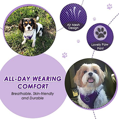 Lukovee Dog Car Harness Seat Belt, Adjustable Mesh Breathable Vest with Elastic Bungee Tether, Soft Padded 2-in-1 Safety Car Harness Seatbelt for Small Medium Large Dogs (Purple,XS) - color: Purple, size: X-Small