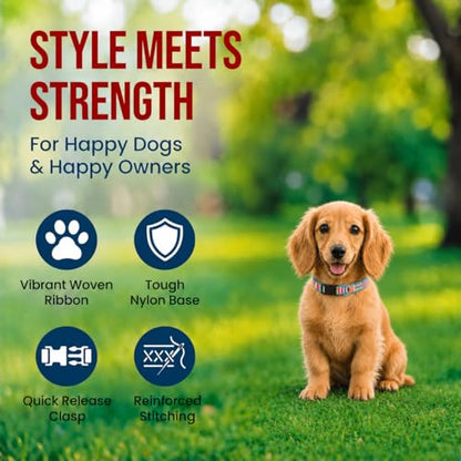 THE WORTHY DOG Spring Holiday Fiesta Stripe Dog Collar – Durable Nylon, Woven Ribbon, Quick-Release Buckle, Nickel D-Ring – Teal, Small - color: Fiesta Stripe - Teal, size: Small