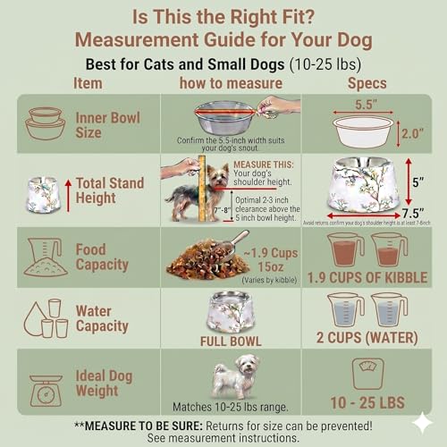 Ceramic Dog Bowl 5 inch Height for Cats and (10-25lbs) Small and Toy size Dogs includes Food-Grade 304 Stainless Steel Bowls Non-Slip 2 Cups(540ml) Bowl Feeder in an Artful and Design (White) - color: White, size: Small