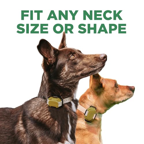 Dogtra CUE Gen 2 Tan – Customizable E-Collar for Dogs Training Collar with Remote – Easy, Safe, Beginner-Friendly Design – 99 Levels, Vibration, Boost, Waterproof, Rechargeable, 400-Yard Range - color: Gen 2 Tan