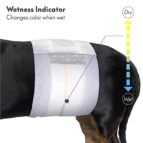 Paw Inspired Select Fit Male Dog Diapers, Disposable Male Wraps with Wetness Indicator| Belly Bands for Small, Medium, Large Dogs (Large, 20 Count) - size: Large