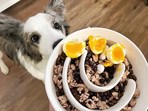 LE TAUCI PET Ceramic Slow Feeder Dog Bowl, 3 Cups Maze Dog Food Bowl for Medium/Large Dogs – Non-Slip White Pet Dish, Cute Puzzle Design to Slow Fast Eaters - color: White, size: L-3 Cups