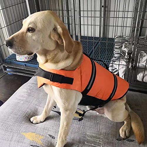 Izefia Dog Life Jacket Swimming Safety Coat Floatation Life Vest Life Saver with Handle for Small Dog Puppy Large Dog (Pink Bone, XS) - color: Pink Bone, size: X-Small