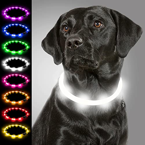 Joytale Light Up Dog Collar, Rechargeable Rainproof LED Collar for Night Walking Safety, Soft Silicone Glow in The Dark, Suitable for Small Medium Large Dogs, White - color: White