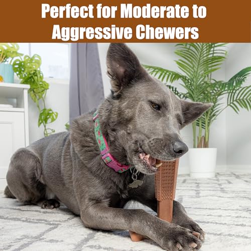 SPOT Bam-Bones Plus Coffee Wood T-Bone Dog Chew Toy, Beef Flavor, Nylon and Coffee Wood Fiber Blend, Durable Chew for Heavy Chewers and Dogs Under 90 lbs, Non-Splintering Dental Chew, 7 Inch - size: 7 Inch (Pack of 1)