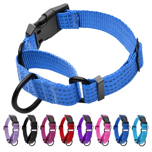Martingale Dog Collar, Reflective No Pull Training Collar with Quick Release Buckle, Adjustable Heavy Duty Nylon Choker Collars for S M L Dogs (Blue, M (1" x 15.5"-19.5")) - color: Blue, size: M (1" x 15.5"-19.5")