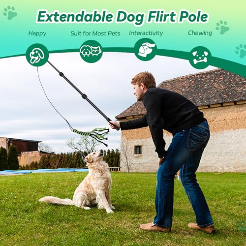 Flirt Pole for Dogs, Interactive Toys Tug-of-war for Pet, Durable Teaser Wand, Chase Toys with Rope Chewing Sticks, for Outdoor Exercise & Training - size: 2 switch-40.2Inch