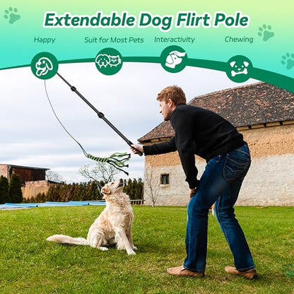 Flirt Pole for Dogs, Interactive Toys Tug-of-war for Pet, Durable Teaser Wand, Chase Toys with Rope Chewing Sticks, for Outdoor Exercise & Training - size: 2 switch-40.2Inch