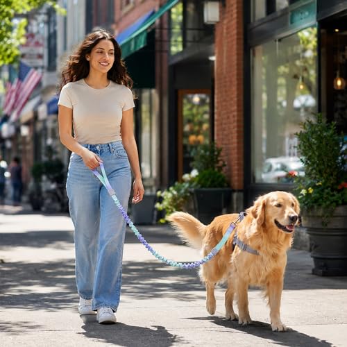 Dog Leash for Small to Medium Dogs, Shock Absorbing Dog Leashs, Dog Walking Leash, Dog Training Leashs, Ombre Color， 4-5.5 Feet(Violet-Green Ombré) - color: Violet-Green Ombré
