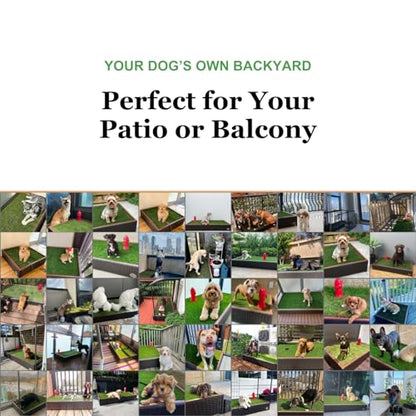 Porch Potty Premium Outdoor Dog Potty System with Artificial Grass, Self-Cleaning Sprinkler System & Drainage Hose – Reusable Dog Grass Pad for Apartment Balconies, Patios & Condos - size: Premium