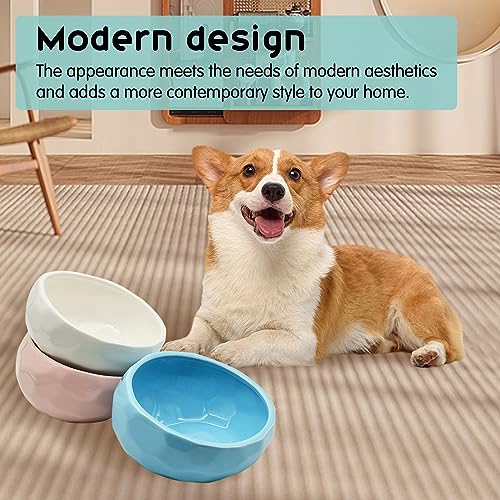 kathson Slanted Ceramic Dog Bowl Tilted 15° Cat Food Water Bowls Dish Animal Pet Comfort Feeding Bowls Heavy Weighted Feeder for Wet or Dry Food (White) - color: White