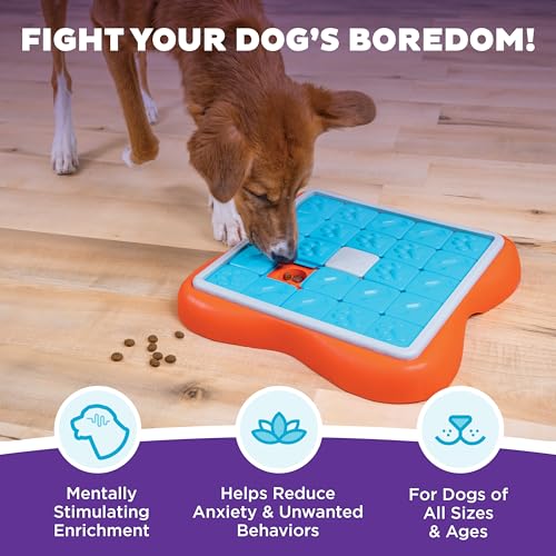 Outward Hound by Nina Ottosson Challenge Slider – Interactive Dog Treat Puzzle Enrichment Toy, Level 3 Advanced - color: Challenge Slider (Orange, Blue)