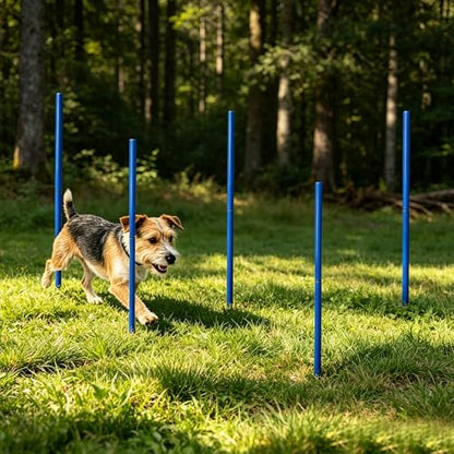 Dog Agility Jumps Adjustable Dog Hurdles with Weave Poles - Multifunctional Training Equipment for Backyard & Outdoor Obstacle Course