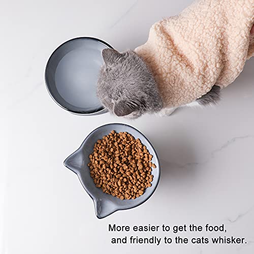 Nihow Ceramic Raised Cat & Dog Bowls: 5 Inch Elegant Gray (2 PC), Protecting Pet's Spine, Feeding & Watering Supplies, Modern Design, Anti Vomiting, Whisker Friendly - color: Gray, size: 4.5 OZ+8 OZ