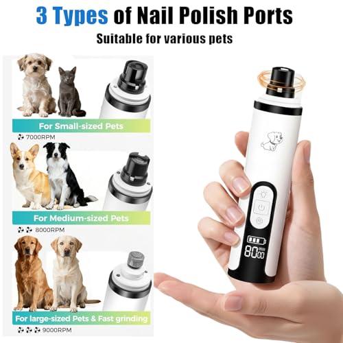 Silent Pets Nail Grinder with 2 Lights and 3 Speeds, Cordless Dog Nail Trimmers, 2000mAh Rechargeable,Painless Paws Grooming Pro for Small Medium Large Dogs & Cats (2 Replacement Heads)