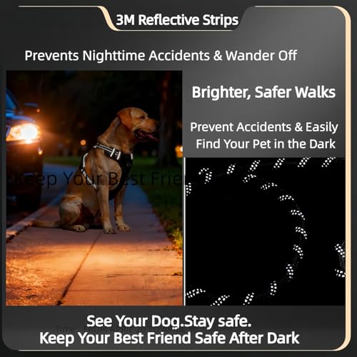 Reflective No Pull Dog Harness with 5ft Leash – Adjustable Padded Vest for Small Medium Large Dogs, Front & Back Clip, Easy Control Handle, Night Safety Walking Set (Black, M) - color: Black, size: M