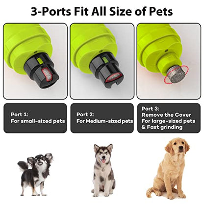 Casfuy Dog Nail Grinder with 2 LED Light - New Version 2-Speed Powerful Electric Pet Nail Trimmer Professional Quiet Painless Paws Grooming & Smoothing for Small Medium Large Dogs(Green) - color: E-Green