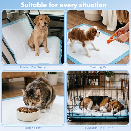 Puppy Pads XXXL 31"x 55" 40 Count,Pee Pads for Large Dogs & Multi-pet Families, Disposable Pet Training Pads for Doggie,Cat , Incontinence Underpads Ultra Absorbent & Quick-Dry, Leakproof Potty Pad - size: 31"x 55" Blue(40counts)