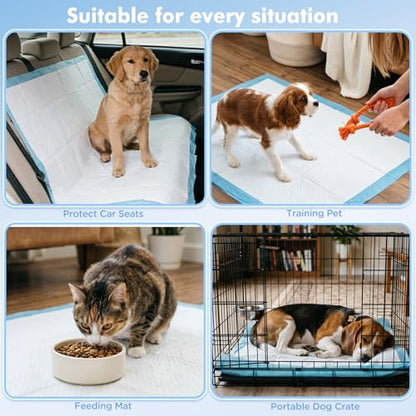 Puppy Pads XXXL 31"x 55" 40 Count,Pee Pads for Large Dogs & Multi-pet Families, Disposable Pet Training Pads for Doggie,Cat , Incontinence Underpads Ultra Absorbent & Quick-Dry, Leakproof Potty Pad - size: 31"x 55" Blue(40counts)