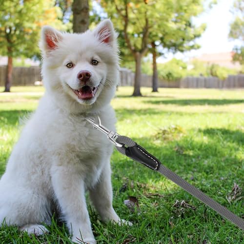 Mile High Life Dog Leash, Rope Leash with Genuine Leather Handle and Heavy Duty Metal Clasp, Great for Small Medium Large Dogs (Gray, 4FT) - color: Leather Handle-Gray, size: 48 Inch-1/2"