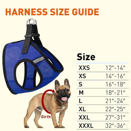 Dogline Boston Step in Mesh Dog Harness with Service Dog Patch No Choke Pet Vest Soft Gentle Padded Chest Halter for Puppies Small Medium and Large Dogs 21 to 24 inches Girth Royal Blue - color: Royal Blue, size: Girth 21 to 24"