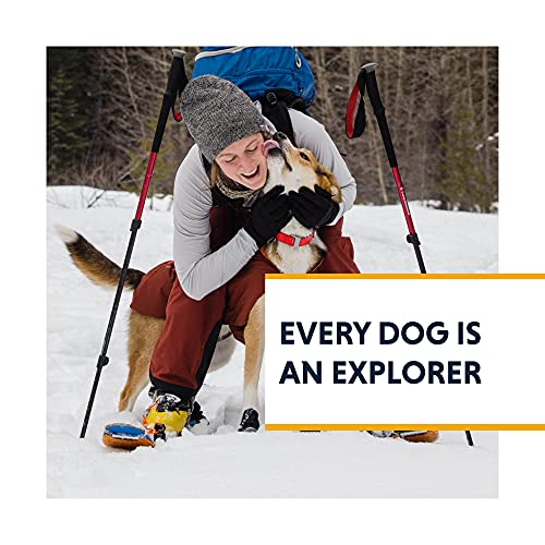 Ruffwear, Confluence Dog Collar, Waterproof Heavy Duty Quick Release Buckle, Odor-Resistant Easy Clean Adjustable TPU Webbing with & Silent ID Attachment, Red Sumac, 14"-20" - color: Red Sumac, size: 14"-20"