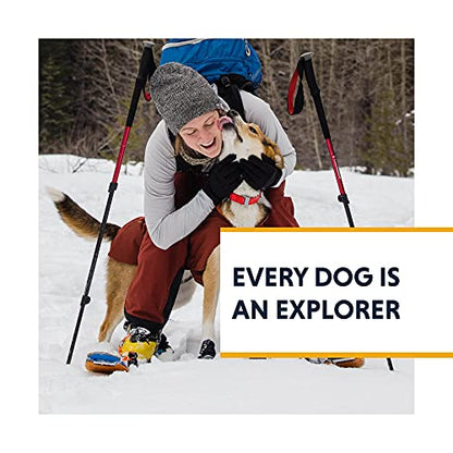 Ruffwear, Confluence Dog Collar, Waterproof Heavy Duty Quick Release Buckle, Odor-Resistant Easy Clean Adjustable TPU Webbing with & Silent ID Attachment, Red Sumac, 14"-20" - color: Red Sumac, size: 14"-20"