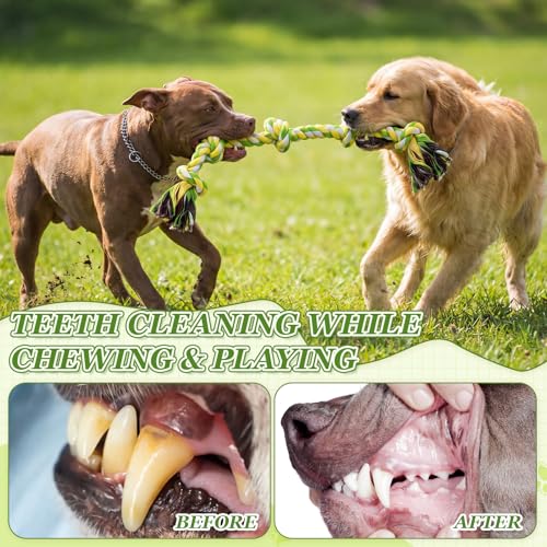 9 Pcs Dog Rope Toys with a 37.8" Heavy Duty Dental Rope Toy, Interactive Tough Chew Toys for Large Medium Aggressive Chewer, Tug of War and Fetch Toy for Teeth Cleaning, Stress Relief, Training - color: Green