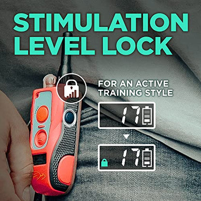 Dogtra E-Collar Tom Davis 280C Boost & Lock, Waterproof, 1/2-Mile Range Dog Training Collar with Remote, Rechargeable, 127 Levels, Vibration, Bungee, No Bad Dogs Trainer for Small, Medium, Large Dogs - color: Tom Davis 280C