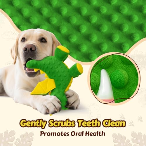Squeaky Dog Toys - 2 Pack Soft Plush Dragon Dog Toys with 5 Squeakers in Head & Feet, Crinkle Wings, Cute Dog Toys for Small Medium and Gentle Large Dogs (Green & Blue,10") - color: Green & Blue