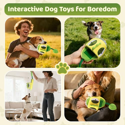 Squeaky Dog Toys, No Stuffing Interactive Dog Chew Toys Built-in Squeaker and Crinkle Paper Sounds Snuffle Foraging Instinct Training Puppy Chew Toys for Small Medium Dogs