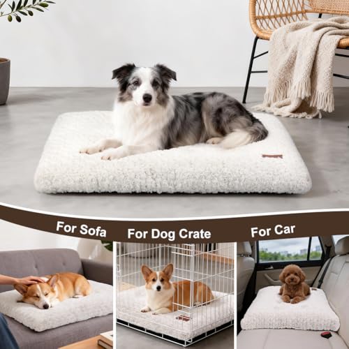 Dog Bed Crate Pad - Rosette Pattern White Velvet Pet Bed Anti-Slip Comfy Kennel Pad for Crates Rosette White L - color: Rosette Pattern White, size: Large 36"x24"