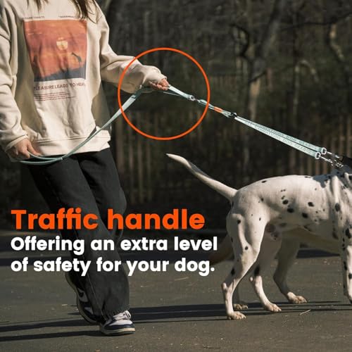 HOWGO Double Dog Leash,Tangle-Free 360 Swivel(Black, Pro S-M w.Handle) | Individually Adjustable Length, Double Padded Handles,Aviation Aluminum Hooks,Durable Nylon,No-Tangle Walking,All Breeds - color: Black, size: Pro S/M Handle