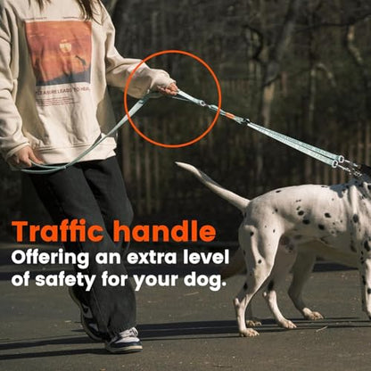 HOWGO Double Dog Leash,Tangle-Free 360 Swivel(Lavender, Pro S-M w.Handle) | Individually Adjustable Length, Double Padded Handles,Aviation Aluminum Hooks,Durable Nylon,No-Tangle Walking,All Breeds - color: Lavender, size: Pro S/M Handle