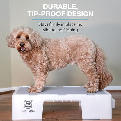 Blue-9 KLIMB Jr. Professionally Designed Dog Training Platform and DIY Guide for Behavior Basics, Made in The USA, White - color: White