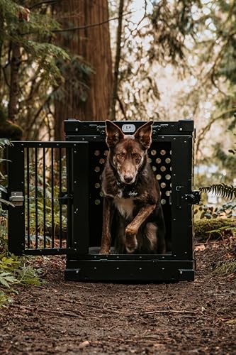 K9 Kennel Boss Aluminum Collapsible Dog Crate, Heavy Duty Folding Kennel - Medium (Black) - color: Black, size: 34.6"L x 25.2"W x 28.9"H