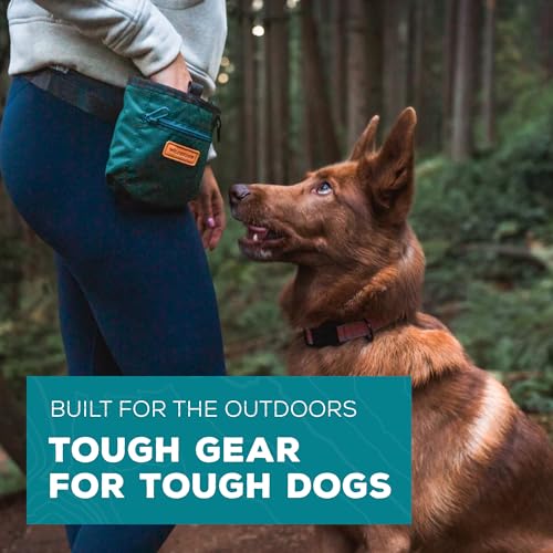 Wilderdog Dog Training Treat Pouch with Magnetic and Zipper Closure, Carabiner Attached, Adjustable Waist Strap - Cinnabar - color: Cinnabar