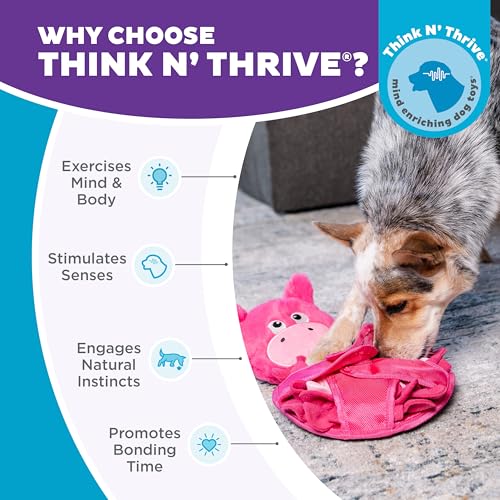 Outward Hound by Nina Ottosson Snuffle Palz Plush Snuffle Mat Dog Treat Puzzle, Non-Slip, Pink, Pig, Large - color: Snuffle Palz Pig