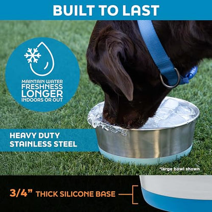 Master Pet Supply Stainless Steel Dog Bowls Set of 2 with Extra Thick Silicone Base - 2 Cup (16 oz) Mango Tango, Non-Slip, Dishwasher Safe Metal Bowls, Pet Dog Food Bowl for Dogs, Cats, Anti Rust - color: Mango Tango, size: 2 Cups (16 oz) 2 Pack