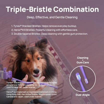 HICC PET Toothbrush for Dogs & Large Cats, Ergonomic Pet Toothbrush for Easy Teeth Cleaning,Gentle on Gums, Cat & Dog Dental Care – Toothpaste Not Included - color: Purple for Dogs & Large Cats