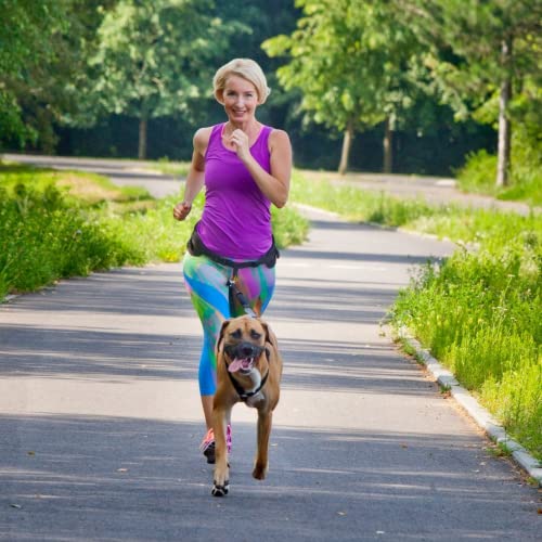 Dingo Hands Free Leash and Belt for Walking and Running with Dog, Bungee Training Leash, o-Ring Z30004
