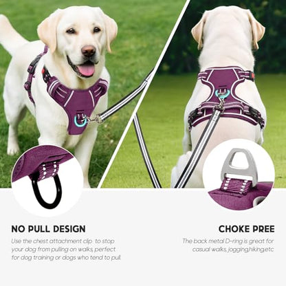 Timos Dog Harness Small Sized, No Pull Pet Harness with Neck Lockable Snap, No Choke Front Clip Reflective Vest, Adjustable Metal Rings 3 Buckles, Easy Control Handle for Small Dogs Grape Purple S - color: Lock Grape Purple, size: Small (Pack of 1)