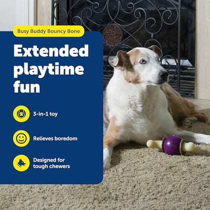 PetSafe Busy Buddy Bouncy Bone, Treat Holding Dog Toy, Small, Best for Dogs Up to 10 Lb. - size: Small, style: Bouncy Bone