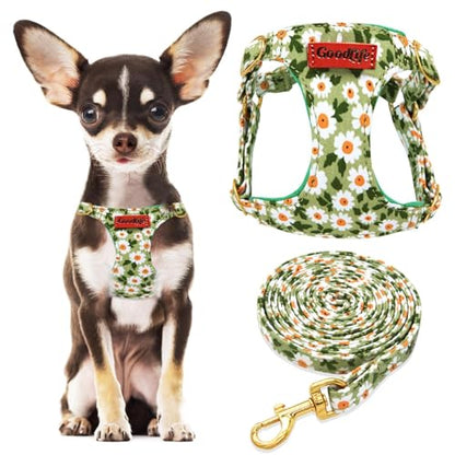 OaaXbbECco No Pull Floral Pattern Puppy Harness,Soft Adjustable Dog Harness Vest and Dog Leash Set No Choke Escape Proof (Green Daisy, XXS) - color: Green Daisy, size: XXS