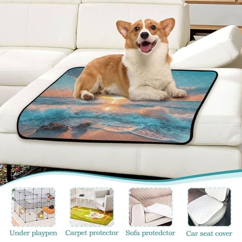 Qilmy Sea Pet Mat, Waterproof Reusable Dog Training Pad Anti-Slip Pet Creat Pad for Small Medium Large Dogs and Cats - size: Smallx3